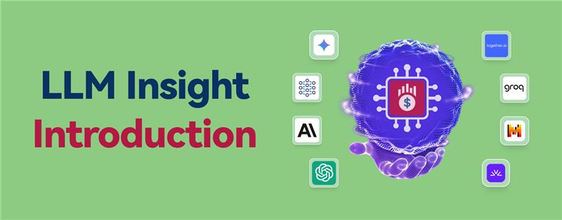 LLM Insight Introduction